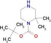 Tert-Butyl 2,2-dimethylpiperazine-1-carboxylate