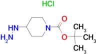 Tert-Butyl-4-hydrazinylpiperidine-1-carboxylate hydrochloride