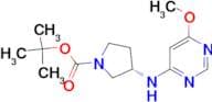 (S)-3-(6-Methoxy-pyrimidin-4-ylamino)-pyrrolidine-1-carboxylic acid tert-butyl ester