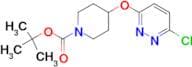 4-(6-Chloro-pyridazin-3-yloxy)-piperidine-1-carboxylic acid tert-butyl ester