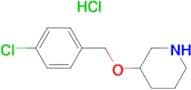 3-(4-Chloro-benzyloxy)-piperidine hydrochloride