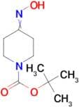 Tert-Butyl 4-(hydroxyimino)piperidine-1-carboxylate