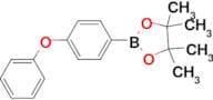 Phenoxyphenyl-4-boronic acid pinacol ester