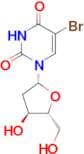 5-Bromo-2'-deoxyuridine