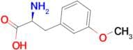 (S)-2-Amino-3-(3-methoxyphenyl)propionic acid