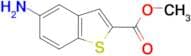 Methyl 5-aminobenzo[b]thiophene-2-carboxylate