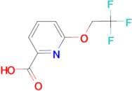 6-(2,2,2-Trifluoroethoxy)pyridine-2-carboxylic acid