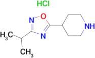 4-(3-Isopropyl-1,2,4-oxadiazol-5-yl)piperidinehydrochloride