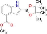 Methyl 2-(4,4,5,5-tetramethyl-1,3,2-dioxaborolan-2-yl)-1H-indole-4-carboxylate