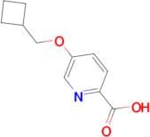 5-(Cyclobutylmethoxy)pyridine-2-carboxylic acid