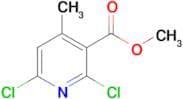 Methyl 2,6-dichloro-4-methylnicotinate
