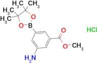 Methyl 3-amino-5-(4,4,5,5-tetramethyl-1,3,2-dioxaborolan-2-yl)benzoate hydrochloride