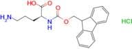 (S)-2-((((9H-Fluoren-9-yl)methoxy)carbonyl)amino)-5-aminopentanoic acid hydrochloride