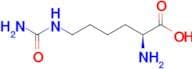L-Homocitrulline