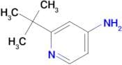 2-(tert-Butyl)pyridin-4-amine