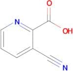 3-Cyanopicolinic acid