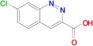 7-CHLOROCINNOLINE-3-CARBOXYLIC ACID