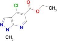 ETHYL 4-CHLORO-1-METHYL-1H-PYRAZOLO[3,4-B]PYRIDINE-5-CARBOXYLATE
