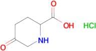 5-OXOPIPERIDINE-2-CARBOXYLIC ACID HCL