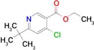 ETHYL 6-(TERT-BUTYL)-4-CHLORONICOTINATE