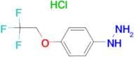 1-(4-(2,2,2-TRIFLUOROETHOXY)PHENYL)HYDRAZINE HCL