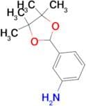 3-(4,4,5,5-tetramethyl-1,3-dioxolan-2-yl)aniline