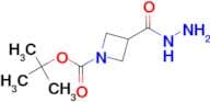 Tert-Butyl 3-(hydrazinecarbonyl)azetidine-1-carboxylate