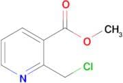 METHYL 2-(CHLOROMETHYL)NICOTINATE