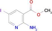 Methyl 2-amino-5-iodonicotinate