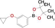 2-(3-Cyclopropoxyphenyl)-4,4,5,5-tetramethyl-1,3,2-dioxaborolane