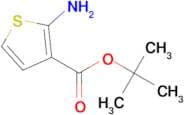 Tert-Butyl 2-aminothiophene-3-carboxylate