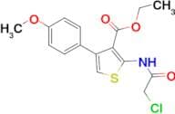 2-(2-Chloro-acetylamino)-4-(4-methoxy-phenyl)-thiophene-3-carboxylic acid ethyl ester