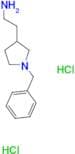 [2-(1-benzyl-3-pyrrolidinyl)ethyl]amine dihydrochloride