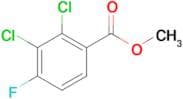 METHYL 2,3-DICHLORO-4-FLUOROBENZOATE