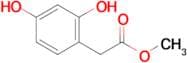 METHYL 2,4-DIHYDROXYPHENYLACETATE