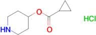 Piperidin-4-yl cyclopropanecarboxylate hydrochloride