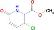 Methyl 3-chloro-6-oxo-1,6-dihydropyridine-2-carboxylate