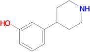 3-(Piperidin-4-yl)phenol