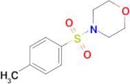 4-tosylmorpholine
