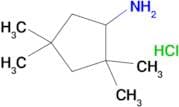 2,2,4,4-TETRAMETHYLCYCLOPENTANAMINE HCL