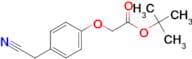 (4-CYANOMETHYL-PHENOXY)-ACETIC ACID TERT-BUTYL ESTER