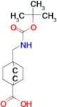 4-(((TERT-BUTOXYCARBONYL)AMINO)METHYL)BICYCLO[2.2.2]OCTANE-1-CARBOXYLIC ACID