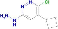 3-CHLORO-4-CYCLOBUTYL-6-HYDRAZINYLPYRIDAZINE