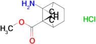 METHYL TRANS-3-AMINOBICYCLO[2.2.2]OCTANE-2-CARBOXYLATE HCL