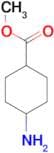 TRANS-METHYL-4-AMINOCYCLOHEXANECARBOXYLATE