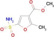 2-Methyl-5-sulfamoyl-furan-3-carboxylic acid methyl ester