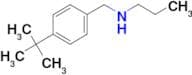 [(4-tert-butylphenyl)methyl](propyl)amine