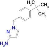 1-[(4-tert-butylphenyl)methyl]-1H-pyrazol-3-amine