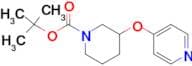 3-(PYRIDIN-4-YLOXY)-PIPERIDINE-1-CARBOXYLIC ACID TERT-BUTYL ESTER