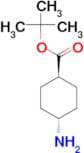 Trans-tert-Butyl 4-aminocyclohexanecarboxylate